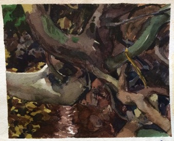 Roots and stream Roots and stream